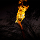 Image for article titled 29 Photos Pyromaniacs Will Love